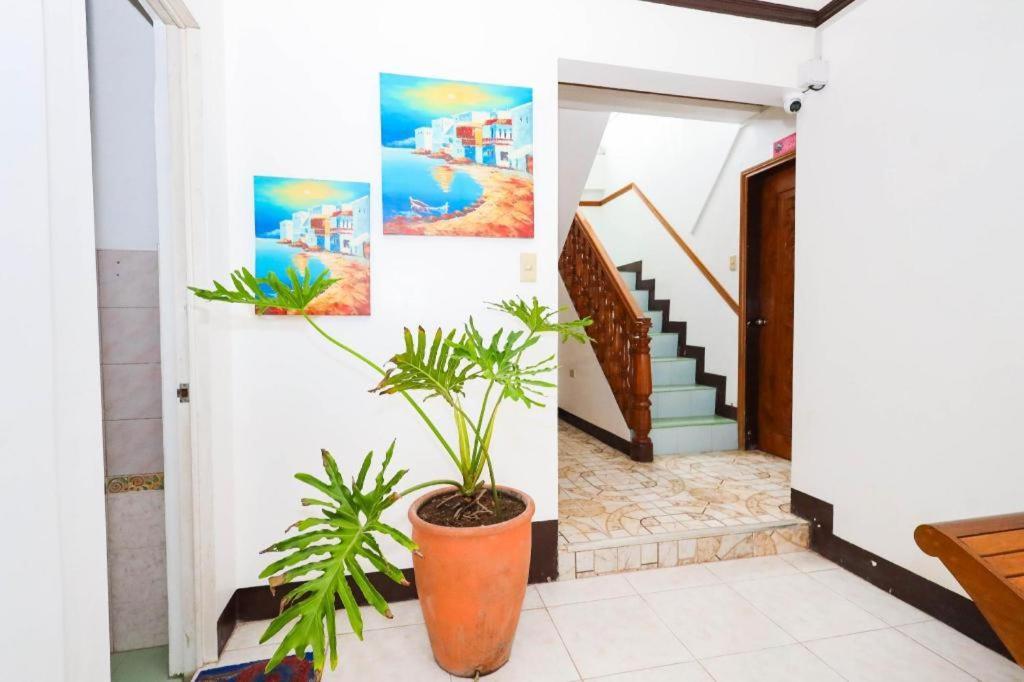 Mayon Backpackers Hostel Legazpi Εξωτερικό φωτογραφία